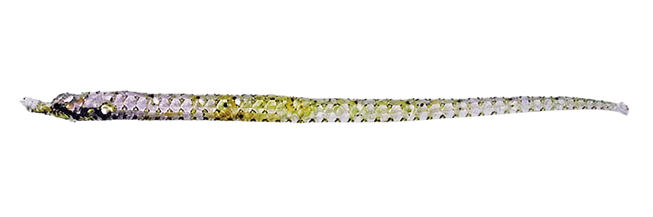 Few-rayed pipefish (Bhanotia pauciradiata) specimen