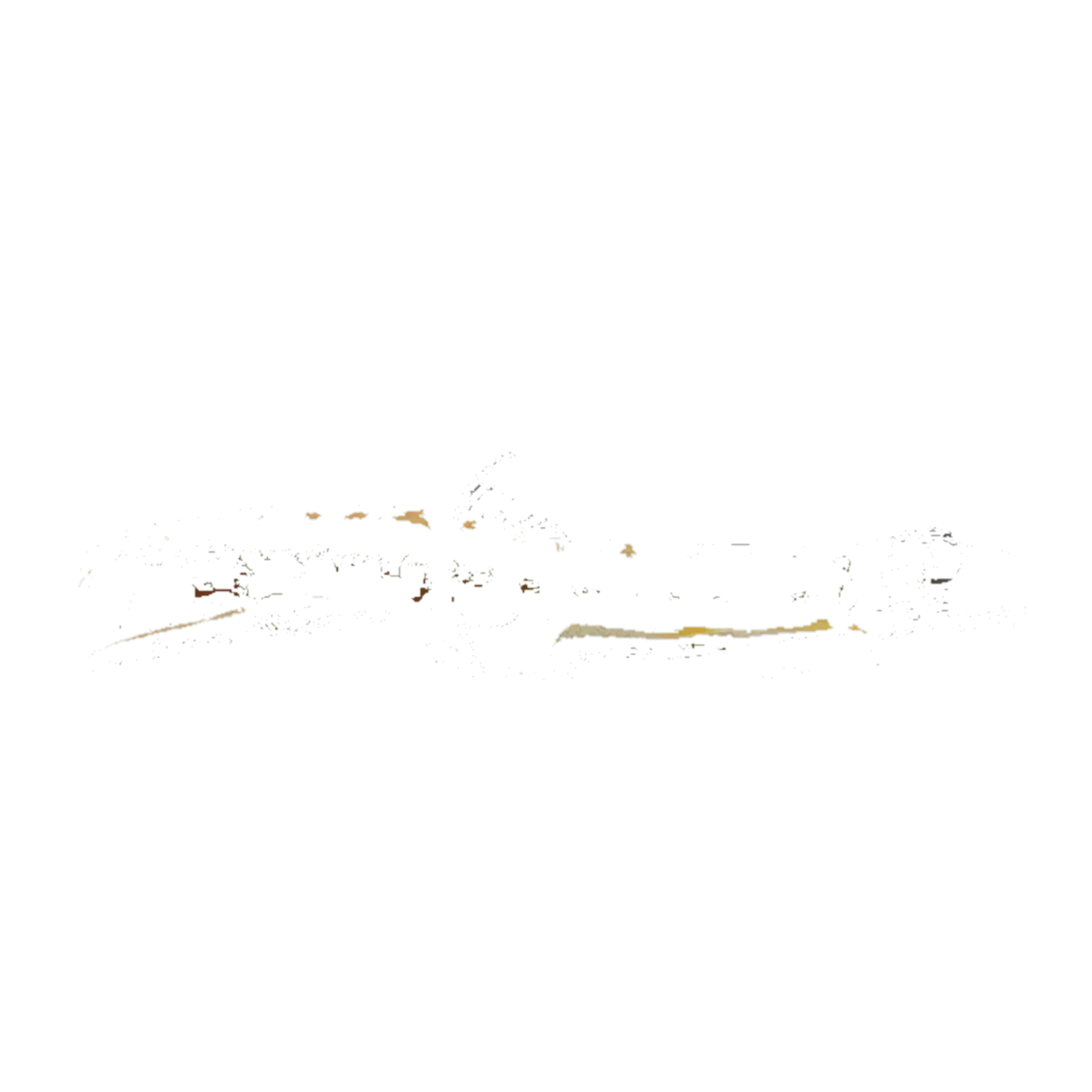 Homatula xiangzhi (Homatula xiangzhi) specimen