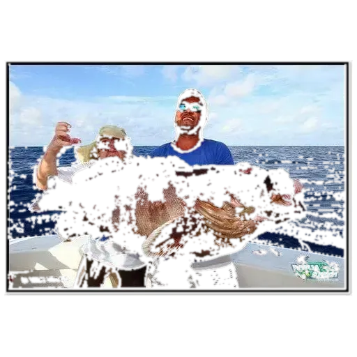 Misty grouper (Hyporthodus mystacinus) specimen